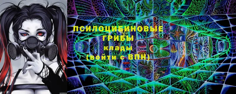 купить   Куйбышев  MEGA сайт  Псилоцибиновые грибы Psilocybine cubensis 